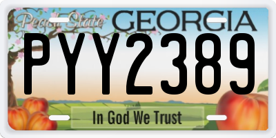 GA license plate PYY2389