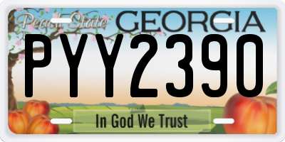 GA license plate PYY2390