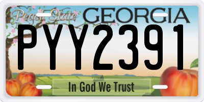 GA license plate PYY2391