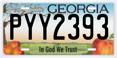 GA license plate PYY2393