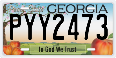 GA license plate PYY2473