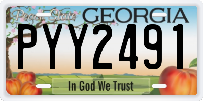 GA license plate PYY2491