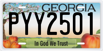 GA license plate PYY2501