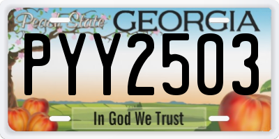 GA license plate PYY2503
