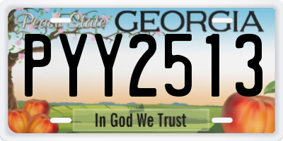 GA license plate PYY2513