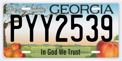 GA license plate PYY2539
