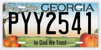 GA license plate PYY2541