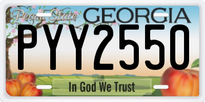 GA license plate PYY2550