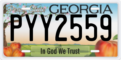 GA license plate PYY2559