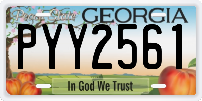 GA license plate PYY2561