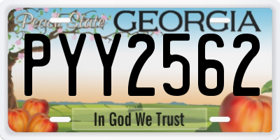 GA license plate PYY2562