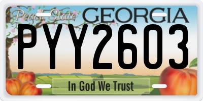 GA license plate PYY2603