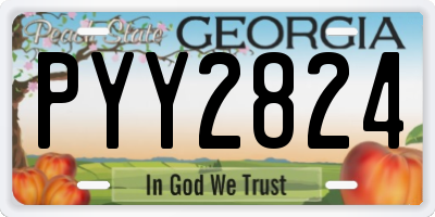 GA license plate PYY2824