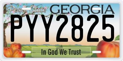 GA license plate PYY2825
