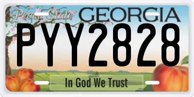 GA license plate PYY2828
