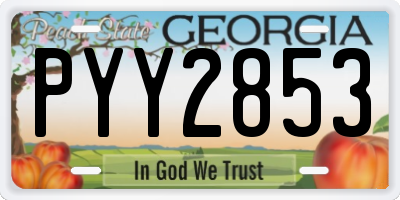 GA license plate PYY2853