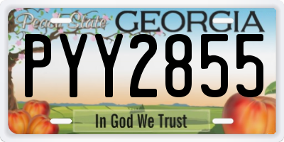 GA license plate PYY2855
