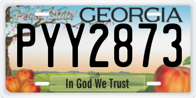 GA license plate PYY2873