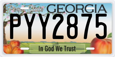 GA license plate PYY2875
