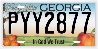 GA license plate PYY2877