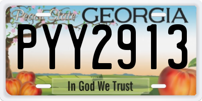 GA license plate PYY2913