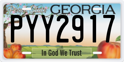 GA license plate PYY2917