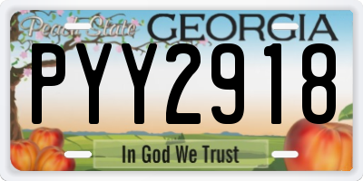 GA license plate PYY2918
