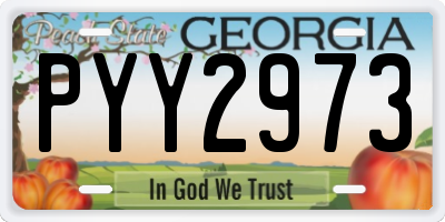 GA license plate PYY2973