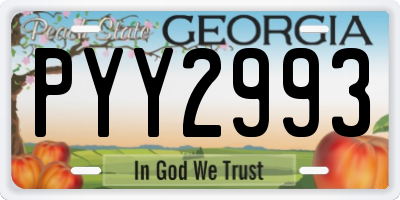 GA license plate PYY2993