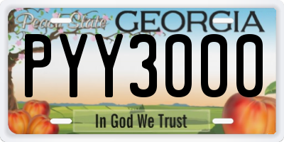GA license plate PYY3000