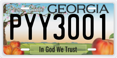 GA license plate PYY3001