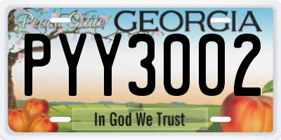 GA license plate PYY3002