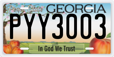 GA license plate PYY3003