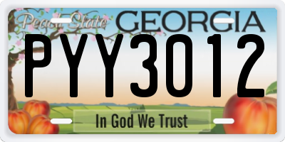 GA license plate PYY3012