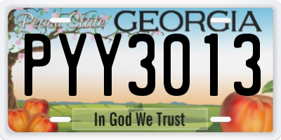 GA license plate PYY3013