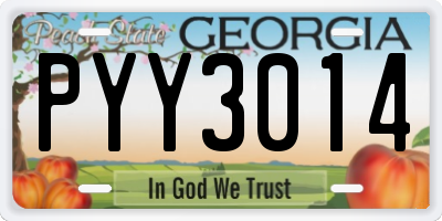 GA license plate PYY3014