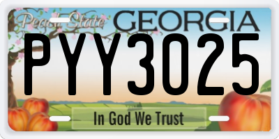 GA license plate PYY3025