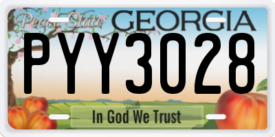 GA license plate PYY3028