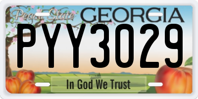 GA license plate PYY3029