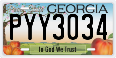 GA license plate PYY3034