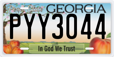 GA license plate PYY3044