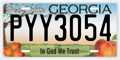 GA license plate PYY3054