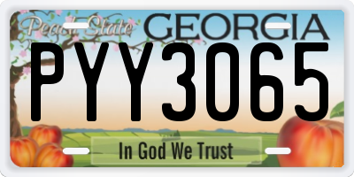 GA license plate PYY3065