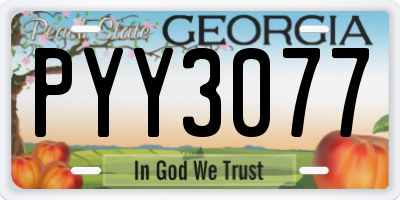 GA license plate PYY3077