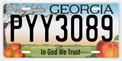 GA license plate PYY3089