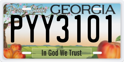 GA license plate PYY3101