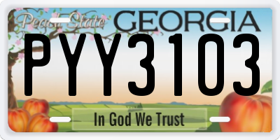 GA license plate PYY3103