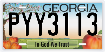 GA license plate PYY3113