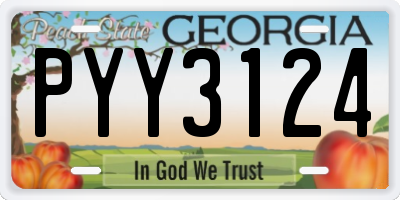 GA license plate PYY3124