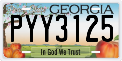 GA license plate PYY3125